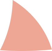 Vector