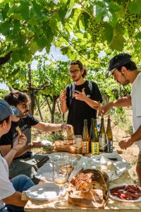 ICARO Winery | Castelli Romani