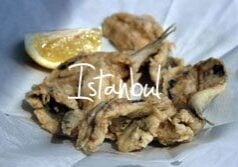 Istanbul-city-guide